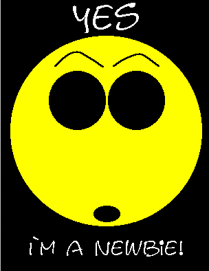 newbee13 n00berz